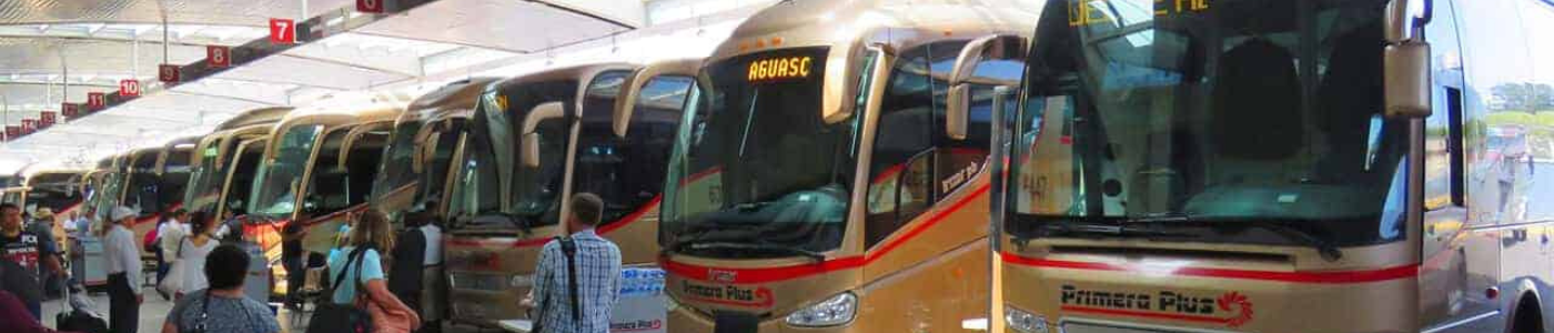 Best Online Travel Booking Websites